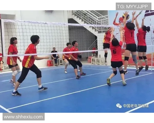 南京排球队耐力提升之路与训练策略深度分析
