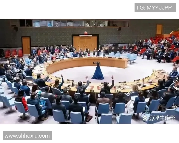 美国与俄罗斯的对抗视频解析揭示两国关系的深层次矛盾与未来走向