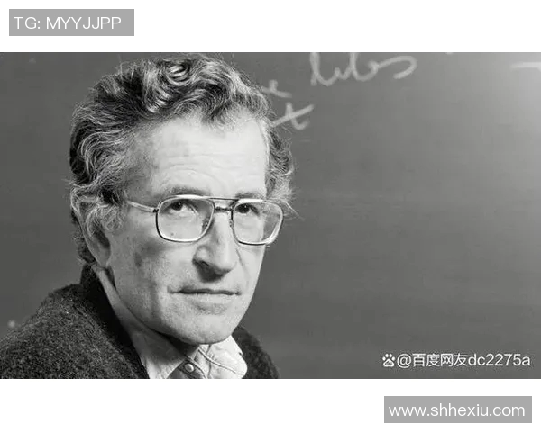 斯通斯乐队的传奇之路与音乐影响力的深远探讨