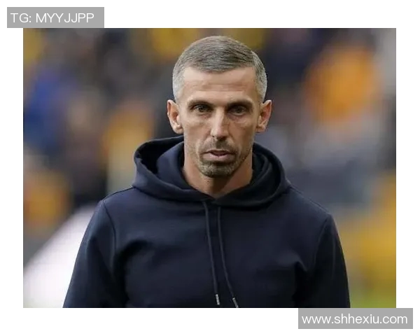 狼队与布莱顿对决前瞻分析及比赛结果预测