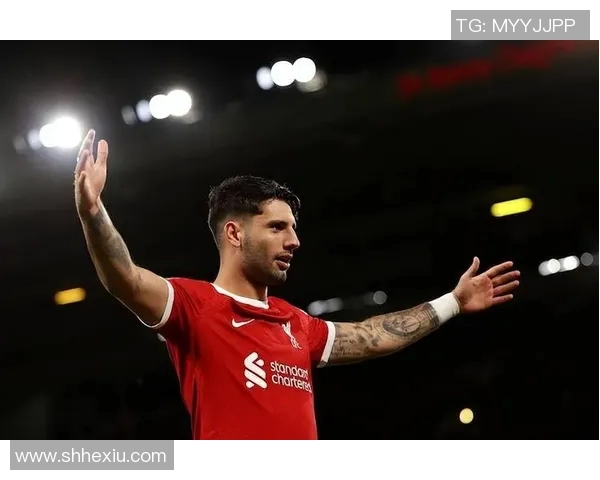 索博斯洛伊的历史传承与文化魅力探秘之旅