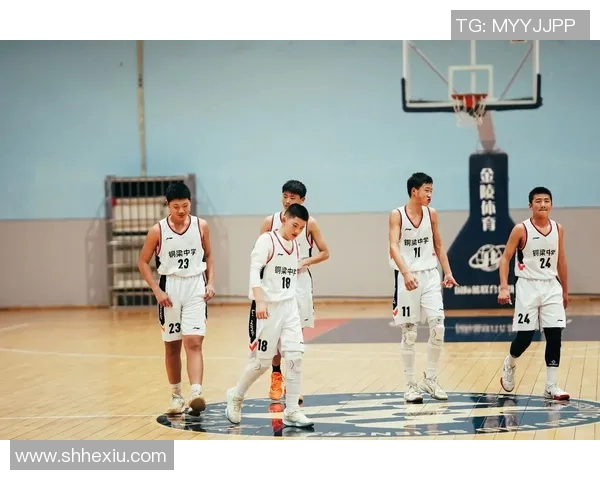 正品明星篮球的魅力与选择指南让你成为场上焦点