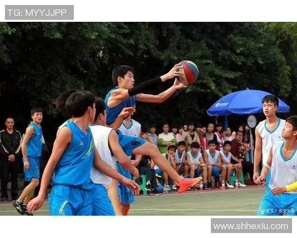 碌曲县篮球明星的成长之路与梦想追逐的精彩故事