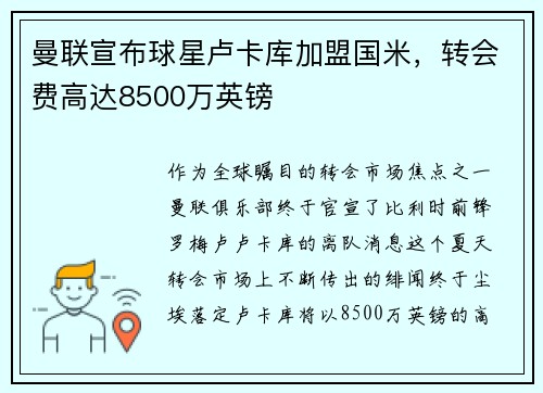 曼联宣布球星卢卡库加盟国米，转会费高达8500万英镑
