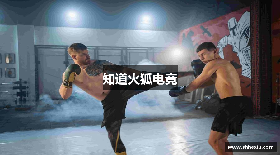 知道火狐电竞